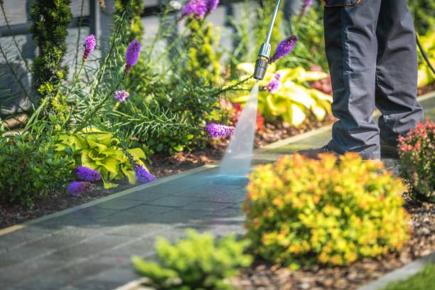 Best Dumpster Area Cleaning  in Grove City, FL